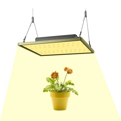 China Factory Price Wholesale 120w IP65 Full Spectrum Aluminum Indoor Hydroponic Board Seed Starting Led Grow Light for sale