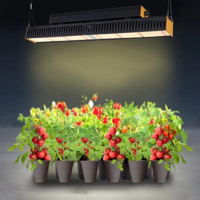 China Seed Starting New Design Commercial LED Growing Light For Indoor Plants Veg Flower for sale