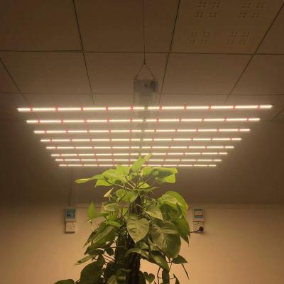 China Seed Starting Dimming DIY To Grow Light For Indoor Plants Horticulture To Grow Light Bar 600W for sale