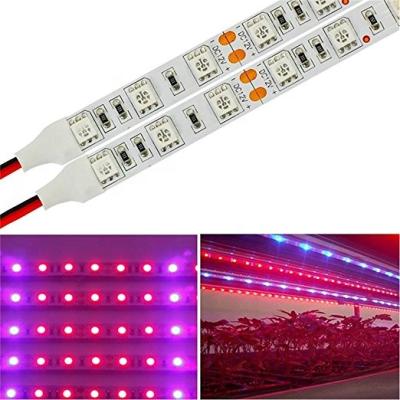 China Seed Starting Full Spectrum SMD 2835 5050 DC12/24V UV Led Strip For Growing Light en venta