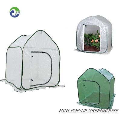 China Easily Assembled Mini Greenhouse Automatic Foldable Garden Plant Grow Tent for sale