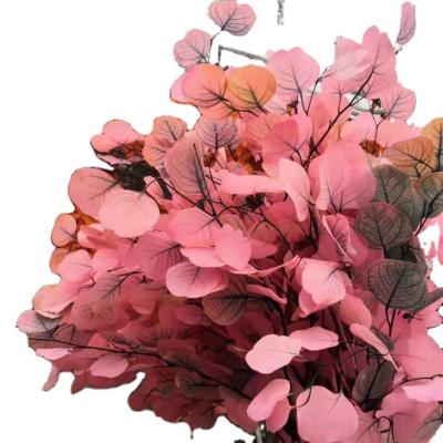 China Beautiful 2021 Natural Preserved Colored Most Popular High Quality Central Institute of Statistics Eucalyptus Leaves for Home and Wedding Decoration for sale