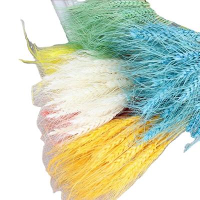 China Beautiful colorful china manufacturing cheap mall decoration natural primary color wheat ears and dry flowers for sale