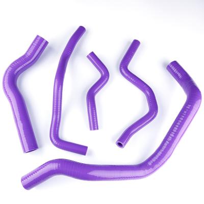 China UPPER SILICONE AND NYLON Purple Silicone Radiator Hose Kit For Honda Civic B Series Type R DC2 EK4 EK9 B16A for sale