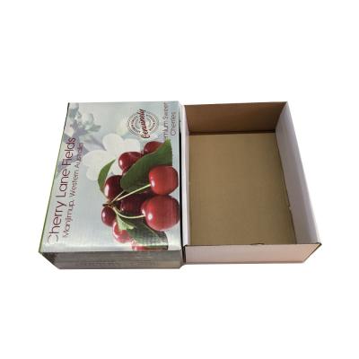 China Recyclable Custom Vegetable Fruit Cherry Packing Corrugated Cardboard Box For Packaging for sale