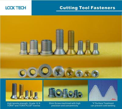 China Fijaciones personalizadas para cabeza de tornillo de bolas, cabeza de tornillo de doble rosca, cabeza de queso, inserción de tornillo y fijaciones de molino indexables en venta