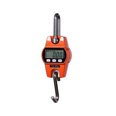 China Overload Indicator Portable High Quantity 100kg Digital Pendant Crane Scale 300kg for sale