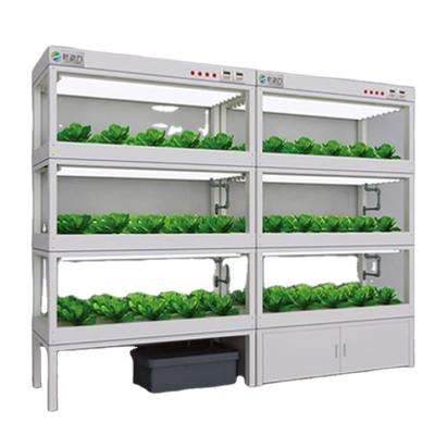 China Newest Design Multifunctional Stereoscopic Plant Farm Growing Systems Vertical Hydroponics for sale