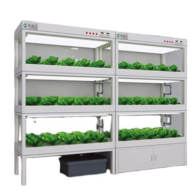 China Newest Design Multifunctional Vertical Grow Tower Channel Micro Green Kit Indoor Hydroponic Systems for sale