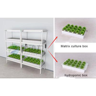 China 2020 Multi-Function Hydroponics Vertical Growing Completely Insulate Contact With Soil Aquaponics Tank System for sale