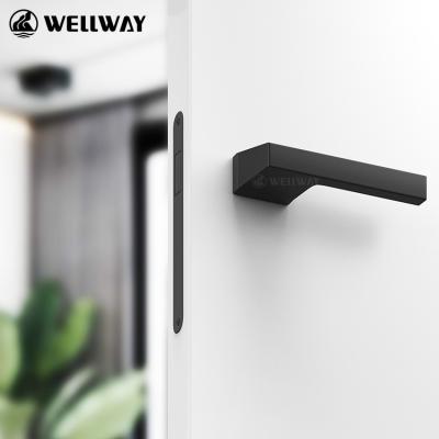 China China Manufacture Modern Professional Push Pull Door Handle Interior High Quality Door Handle for sale