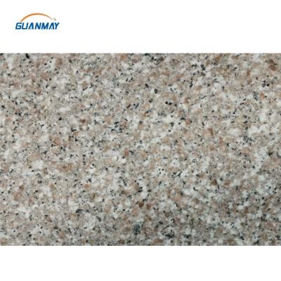 China Modern Polished Natural Light Gray Granite Slabs Stone G636 Use For Worktop Countertop for sale