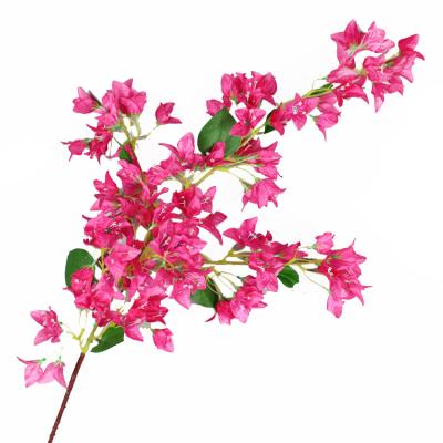 China Silk Cherry Blossom Artificial Branches Bugambilia Bougainvillea Seed Bougainvillea for sale