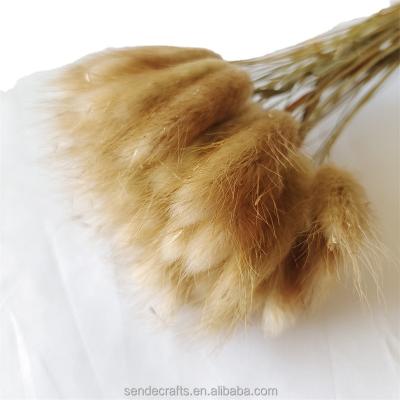 China Wedding Party Shop Home Decor Artificial Flower Bundle Preserved Pampas Flower Rabbit Tails Flowers Dry Grass for sale