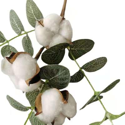 China Amazon Hot Selling New Style Eucalyptus Cotton Stem Artificial Eucalyptus Flower Home Decoration For Home Decoration for sale