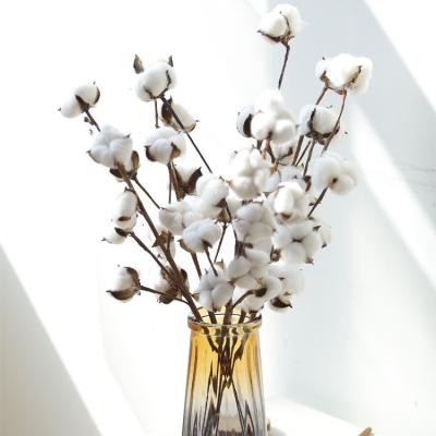 China Durable Artificial Cotton Amazon Dry Flower High Quality Wholesale For Decoration for sale