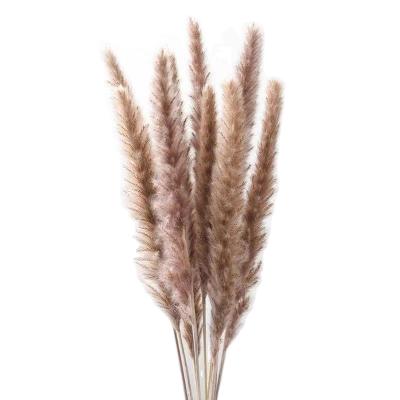 China Wholesale Natural Dry Flower Hot Sales Dried Small Pampas Bouquets For Daily &party&hoilday Decoration for sale