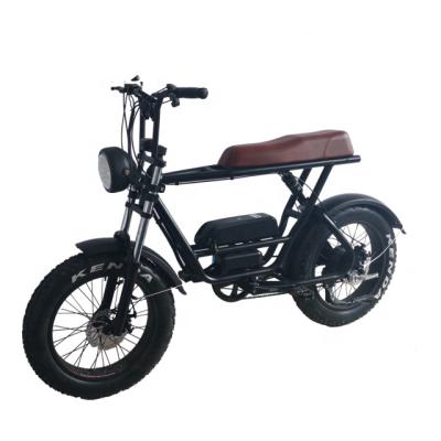 China Aluminum Alloy Cargo Ebike With Double Seats Best Quality Electric Bike 750w Fat Tire Electric Bike for sale