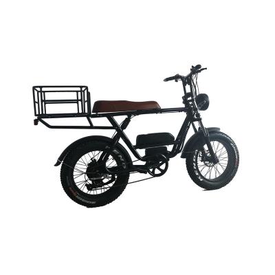 China 2019 48v 750w Aluminum Alloy Snow Dual Seat Electric Bike High Speed ​​Fat Tire Ebike For Lady for sale