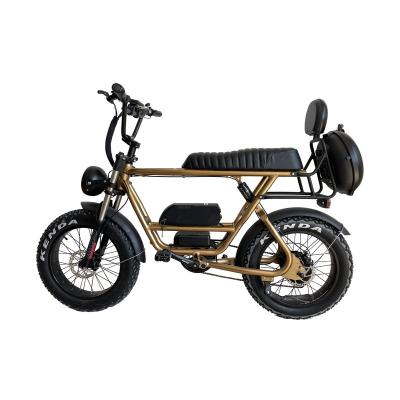 China Fat Tire Electric Bike 20 Inch Fat Tire Bike 2 Seater Electric Mountain Bike e Bike Electric Cargo For Men for sale