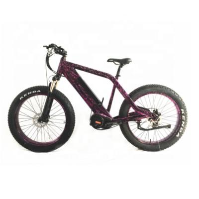 China Cheap Aluminum Alloy Mountain Bike 250w/350w/500w/750w/1000w Mid Drive Motor Electric Bike for sale