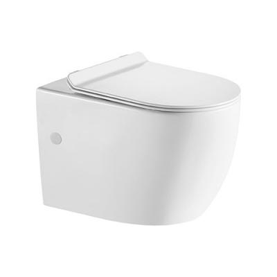 China Chinese Hidden Cistern School Public Restroom Toilet Accessories for sale