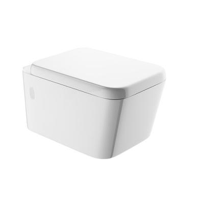 China Concealed Cistern Wall Mount WC Chinese Toilet Set With Cistern And Seat Cover for sale