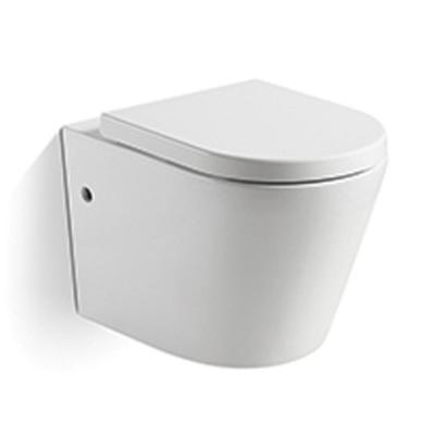 China Concealed European Standard Ceramic Cistern Wall Hung Toilet for sale