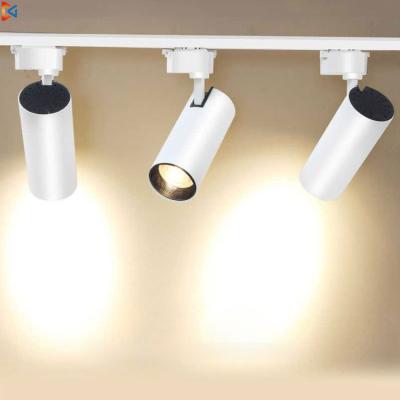 China Modern Manufacturer Angle Adjustable Aluminum Track Spot Lighting System Rail Lamp COB 20W 30W 40W Led Track Lights for sale