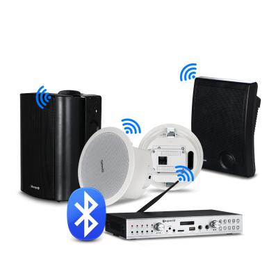 China No wifi ceiling and wall speaker stereo sound professional audio spekaer and wifi amplifier for home theater for sale