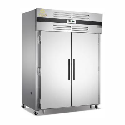 China 2200W 600L Industrial Refrigeration Equipment with Hot Wind and Air Cooling for Longer Food Storage Drying Cabinets zu verkaufen