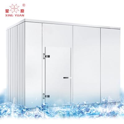 China Container Chamber Cold Freezer for Fish Tuna Refrigeration Room for Fish Storage Walk-in-Breath-Freezer for sale