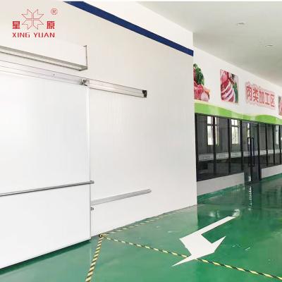 China Container Cold Room With Swing Door Cold Storage Impact Room Hinged Door Cold Storage Room Doors Trade for sale