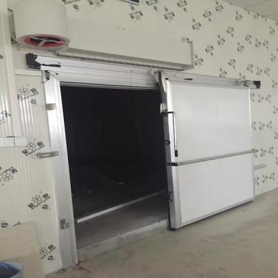 China Aluminum Container Cold Room Freezer Walk Fridge Full Automatic Manual Half Buried Hinged Double Swing Sliding Door Manufacturer for sale