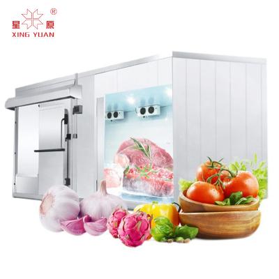 China 6 -ton cheese banana container rolling the industrial part of cold room refrigeration prices cooling with the freezer for sale