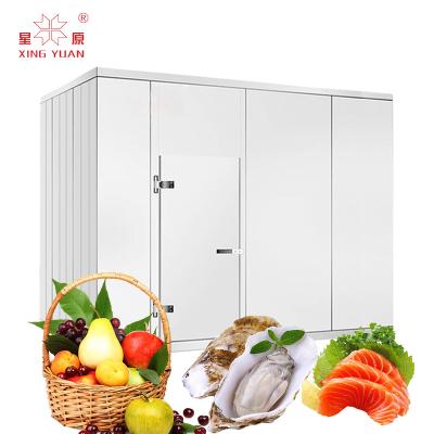 China Import price 20m3 container cooler fish and ice cold room INDUSTRI for storing potatoes cold storage room for sale