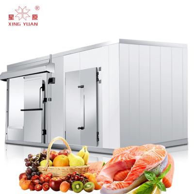 China Outdoor Container Cold Room 30 Ton Freezer Fish Storage Container Vegetable Cold Storage Refrigerator Cool Room for sale