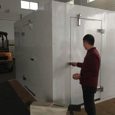 China Hotels Swing Half-buried Full-buried Cold Room Door for sale