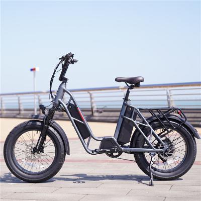 China Aluminum Alloy electric bike bicycles bikes 1000 watts with 2 battery for sale for sale