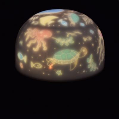 China Modern 2 in 1 Unique Colorful Night Light Projector Night Light for Kids Baby Night Best Customized Light Projector for sale