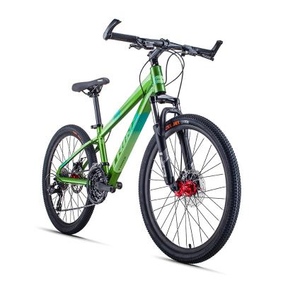 China DIRT JUMP Trinx 21s MTB Bicycle 24