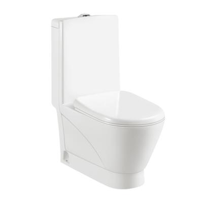 China Modern Bathroom Washdown Double-Flow Style Ceramic Toilet for sale