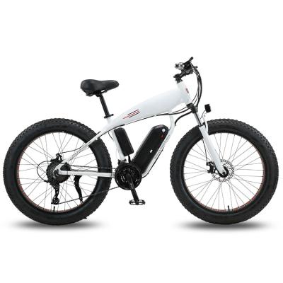 Chine 750W electric bike fat tyres mountain bike fat tire electric bike china à vendre