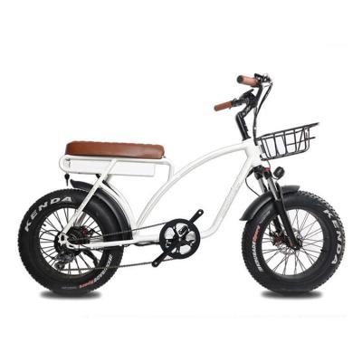 China 20 inch fat tire electric mountain bike adult 2 seat electric bike for sale