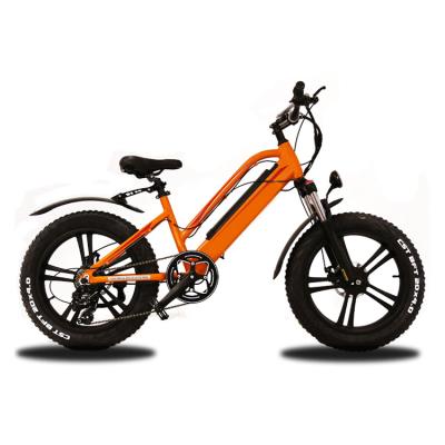 China New design electric bike for adult 20 inch 350W fat tire electric mountain bike for sale