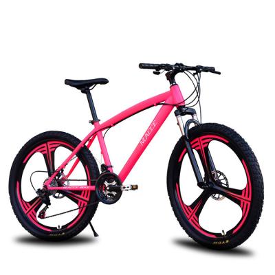 China Hot sale wholesale 27 speed mountain bike high carbon steel mountain bike adult bike Te koop