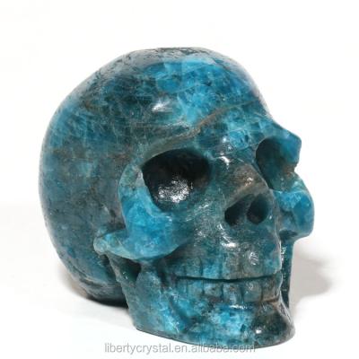 China Europe Natural Blue Apatite Skulls Stone Carved Crystal Skulls Healing for sale