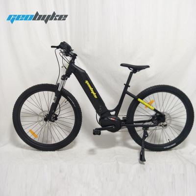 China Aluminum Alloy Green Power Urban City Electric Bike Lady Step Through Mid Driving 48V 350W for sale