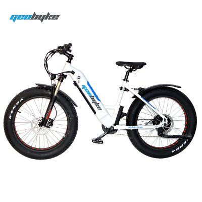 China Electric Bike Lady Step Through 48V 500W Wholesale Aluminum Alloy Green Power City Urban Tire With Inner Tube Battery for sale