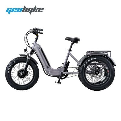 China 2022 New Durable 500W 3 Wheel Electric Cargo Bike 20inch Electric Tricycle Adult Model for sale